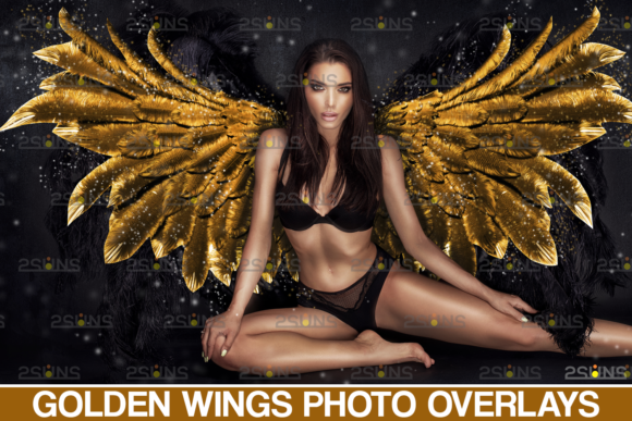 Gold Fairy Wings Overlay for Crafting and Cricut Projects