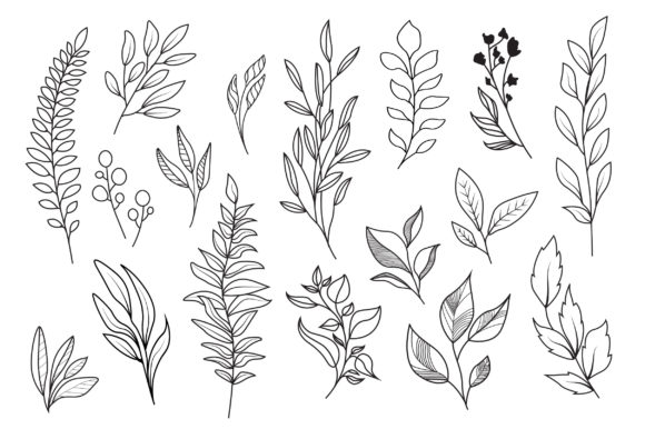 Golden Floral Line Art Review for Embroidery Projects